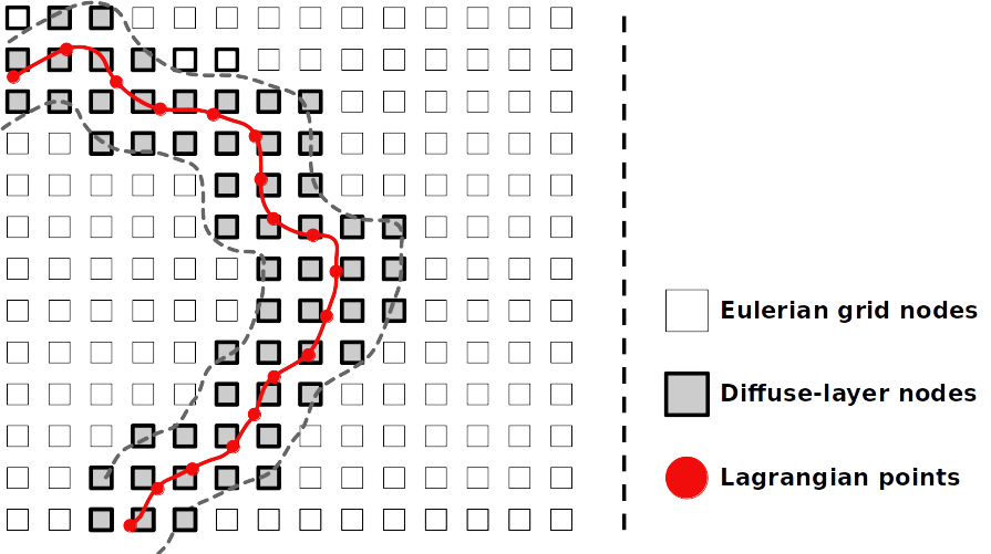 Immersed boundary method