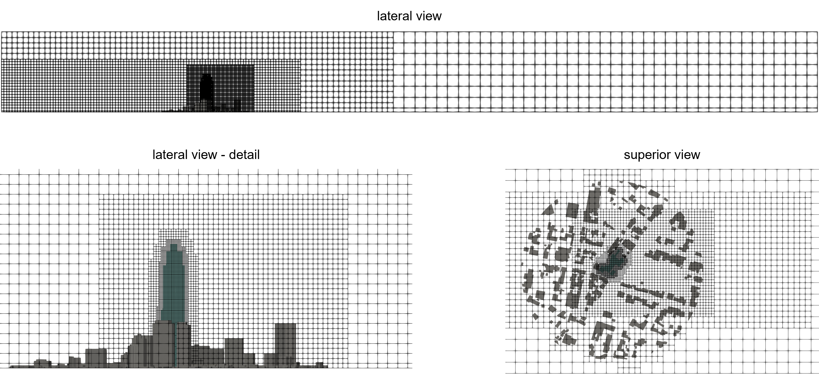 Mesh generated for LBM simulations